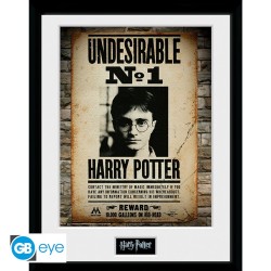 Tirage Harry Potter "Indésirable" - 30 cm par 40 cm