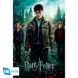 Poster maxi Harry Potter "Reliques de la Mort" 91.5 cm par 61 cm