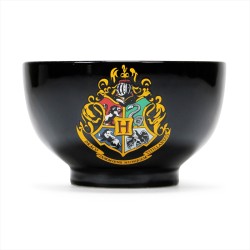 Bol Harry Potter blason...